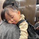 오금로218앞 | 송파 가족사진 추천 / 열두밤 사진관 후기