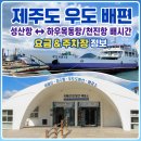 우도 선착장 장애인용 | 성산항 제주도 우도 배편 및 우도 배시간 요금 하우목동항 천진항 기준 총정리
