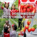새둥지마을영농조합법인 | 경기도 연천 아이랑 가볼만한곳 딸기체험 농장 재인팜 추천