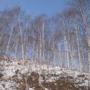 꽃피는산골1 이미지