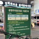 광안리횟집 회센터 포장 여수상회 참돔유비끼 솔직후기