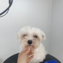 개린이살롱 이미지