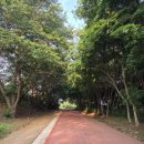 세븐일레븐인천서구연희점 | 인천 연희공원으로 힐링타임!!🌳🌿