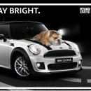 미니(mini) 이미지