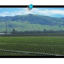 슈프림 행정사사무소 이미지