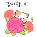 타로 심리 상담사 자격증반 이미지