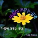 마음이머무는곳 - 춘천시 공지로 367 | 마음이머무는곳