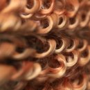 송탄베스트의원 이미지