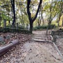 생태랑 놀아볼까 이미지