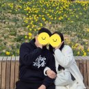 오륙도해물탕 | [부산여행] 2일차 :: 광안리 포토오브제/은희네해장국/오륙도/태종대/청해해물탕/민락어민활어직판장