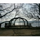 선정은하수꼬막마을 이미지