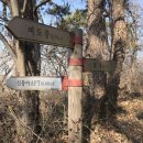 호랑산 둘레길 | 여수 5산종주(호랑산,영취산,부암산,천성산,봉화산)