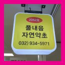 풀내음자연약초