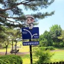 신설교차로(SJ13)~신설교차로(SJ12) | 평택 해군 2함대 만포대 체력단련장 라운딩 후기(1부) 대서양코스