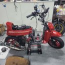 다른 50cc 영입 혼다pax ㅋㅋ 이미지