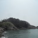 옥도면 장자도리 이미지