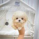 연수동 610-4 이미지