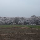 역사와 하루2 이미지