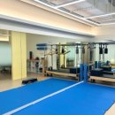 체형&채형 이미지