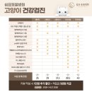 쉼표동물병원