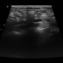 신동동물병원 이미지