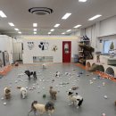 푸른별유치원 이미지