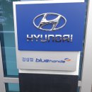 블루핸즈 감삼점 이미지