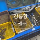 동성포장 | 강릉항회센터 ㅣ 강릉안목회센터 동성 횟집 주차 방문후기