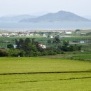 대한농장2 이미지