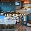 더루체앤하우스
