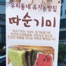 따순기미 이미지