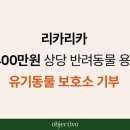 보호리카 이미지