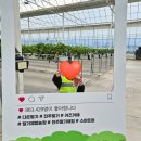 소풍가 | 진주 다은딸기 딸기따기체험•• 🍓 28개월 봄소풍 두번째 방문 후기 (아이와 가볼만한곳 추천)