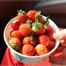 봉암농장 이미지