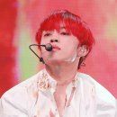 선우조명