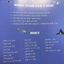 새로운 임무를 받은 마이티 오!(마이티오-제시카 스티머_글,고디 라이트_그림,박규리_옮김_위즈덤하우스)