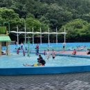 유치자연휴양림 이미지