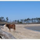 서샘물목장 이미지