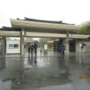 국립경주박물관 이미지