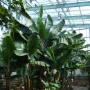 해제남초등학교 이미지