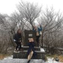 영실 1100고지 화장실 이미지