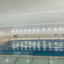 아레나 수영장 이미지