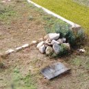 돌무덤농장 이미지