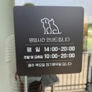 학현4길 | [평택/애견카페] 강아지 친구들과 신나게 뛰어놀 수 있는 레인바우 방문기