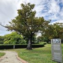 유당공원(주차장) 이미지