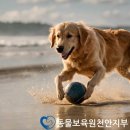 동물보육원 천안지부 이미지