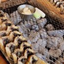 송도비치텔 이미지