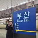 아스티호텔 | 부산역근처호텔 아스티호텔부산 내돈내산후기