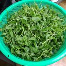 김포메기매운탕 이미지