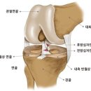 울산의료기 이미지